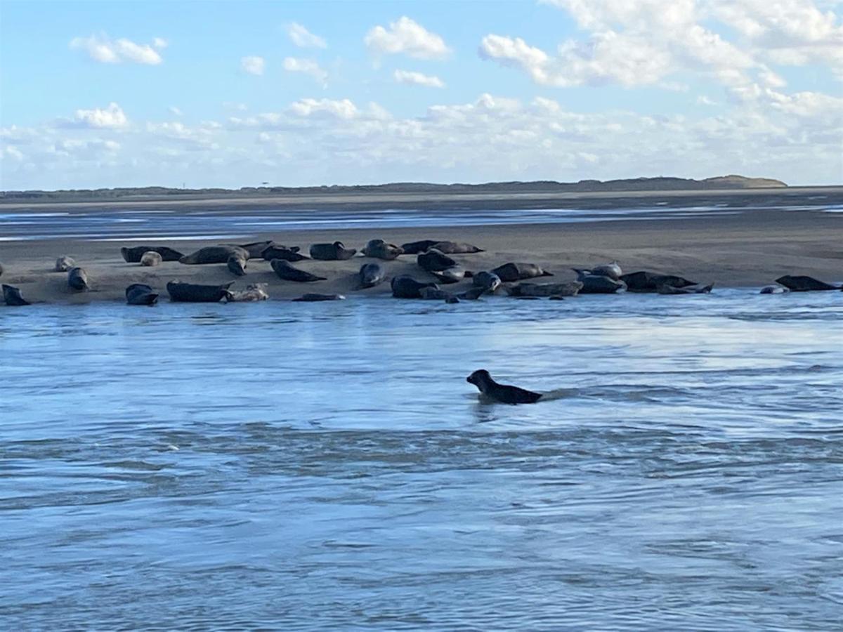Coté Dune * Le Crotoy